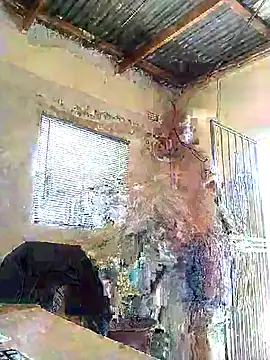 Snapshot of surger chatting on 12/20/25, 10:22 surger online show from 12/20/25, 10:22