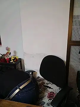 Snapshot of amellie_ros chatting on 11/29/25, 10:57 amellie ros online show from 11/29/25, 10:57