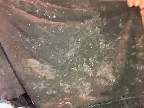 Snapshot of barenlund456 chatting on 04/19/26, 08:55 barenlund456 online show from 04/19/26, 08:55