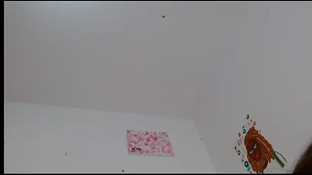 Snapshot of kity__ chatting on 02/24/25, 04:58 kity   online show from 02/24/25, 04:58