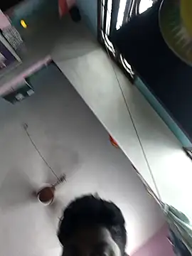 Snapshot of Whiskyboye chatting on 10/02/25, 05:14 Whiskyboye online show from 10/02/25, 05:14