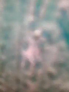 Snapshot of Whiskyboye chatting on 11/30/25, 09:35 Whiskyboye online show from 11/30/25, 09:35