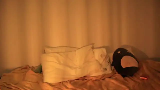 Luna OrionSky online show from 11/13/25, 04:39