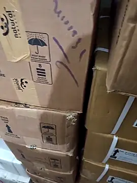 nupa230780 online show from 12/21/25, 06:31