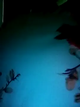 Snapshot of gunjan22 chatting on 12/31/24, 05:22 gunjan22 online show from 12/31/24, 05:22