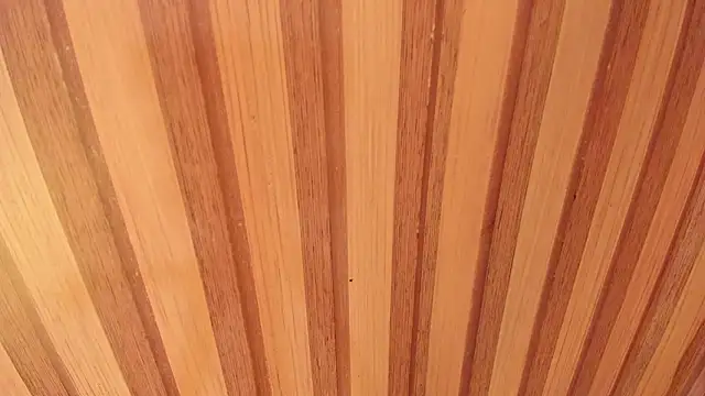 Taylor  cooper online show from 02/12/26, 06:58