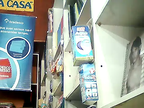 barboza991 online show from 01/14/25, 05:34