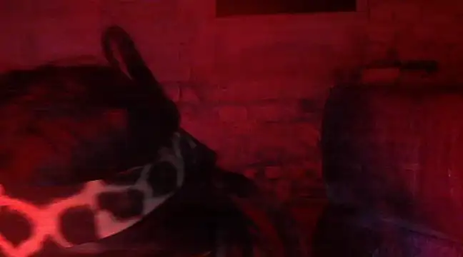 Snapshot of iva_spirit chatting on 02/09/25, 07:52 iva spirit online show from 02/09/25, 07:52