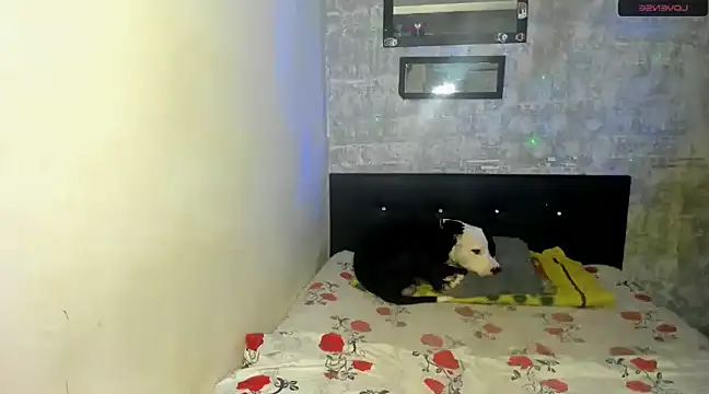 danna sofiah online show from 02/18/25, 03:32