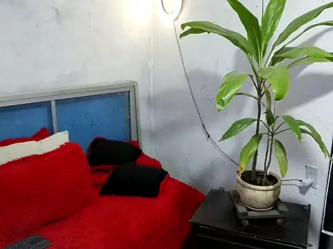 Snapshot of bellacrespalatina chatting on 03/17/26, 05:05 bellacrespalatina online show from 03/17/26, 05:05