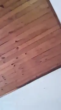 DANIELA MICHEL online show from 01/19/25, 08:41