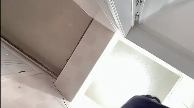 TGH521 online show from 12/31/24, 03:12