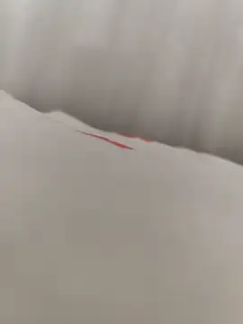 Snapshot of SertSikici022 chatting on 09/11/25, 01:44 SertSikici022 online show from 09/11/25, 01:44