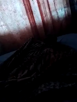 Ggjvdfhvde online show from 11/13/25, 07:35