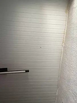 Snapshot of luara1988 chatting on 11/12/25, 12:27 luara1988 online show from 11/12/25, 12:27