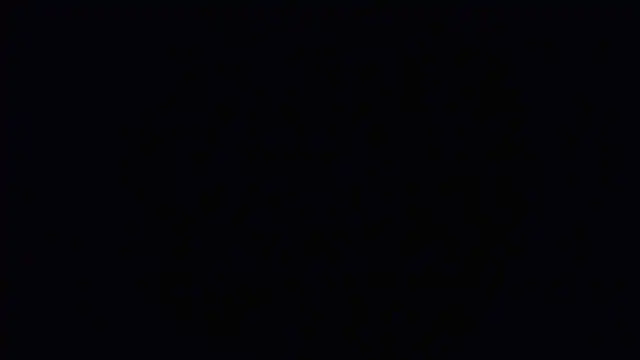 Snapshot of Raiye chatting on 01/24/25, 06:03 Raiye online show from 01/24/25, 06:03