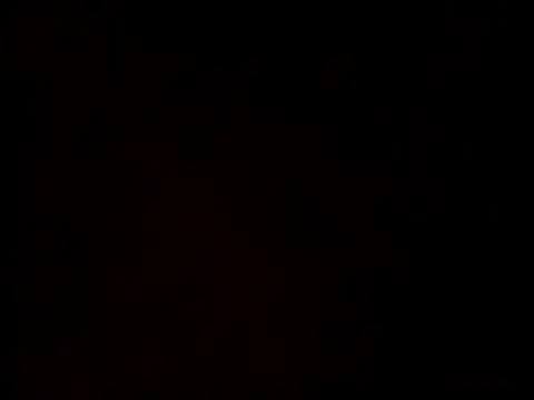 linksjack1010 online show from 02/23/25, 06:34