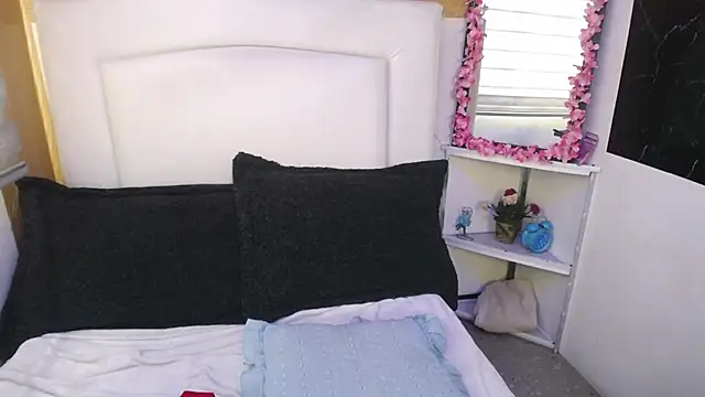 palmer mIix online show from 12/30/24, 01:47