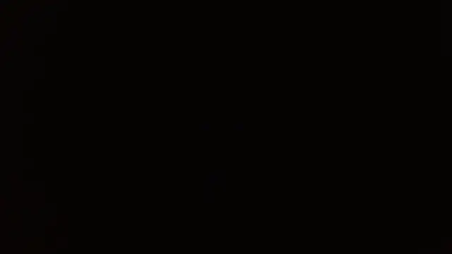        the online show from 12/14/25, 08:24