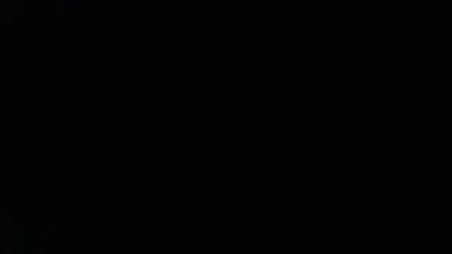 Snapshot of _______the chatting on 04/21/26, 06:55 the online show from 04/21/26, 06:55