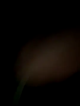 satrr xxx online show from 09/29/25, 08:24