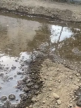 satrr xxx online show from 10/10/25, 10:14