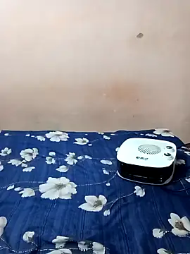 Snapshot of maftel chatting on 01/21/25, 02:33 maftel online show from 01/21/25, 02:33