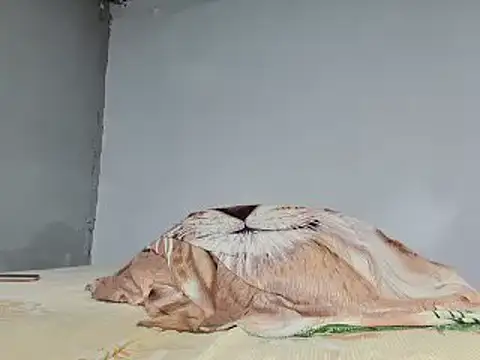 jeffblack2 online show from 02/01/25, 05:16