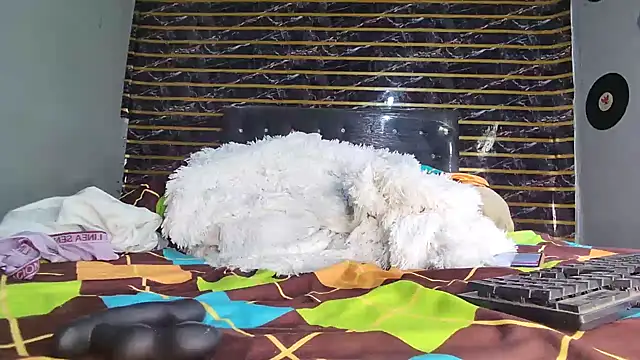 Snapshot of jeffblack2 chatting on 04/01/26, 12:28 jeffblack2 online show from 04/01/26, 12:28