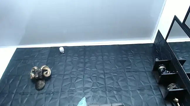 Snapshot of Hanna_Fox_69 chatting on 12/29/24, 12:34 Hanna Fox 69 online show from 12/29/24, 12:34