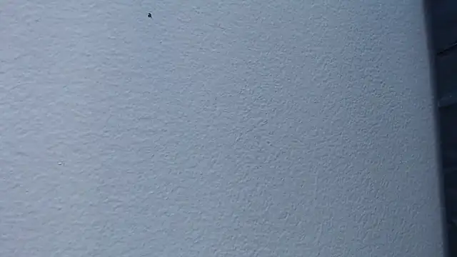 Snapshot of Hanna_Fox_69 chatting on 02/15/25, 06:02 Hanna Fox 69 online show from 02/15/25, 06:02