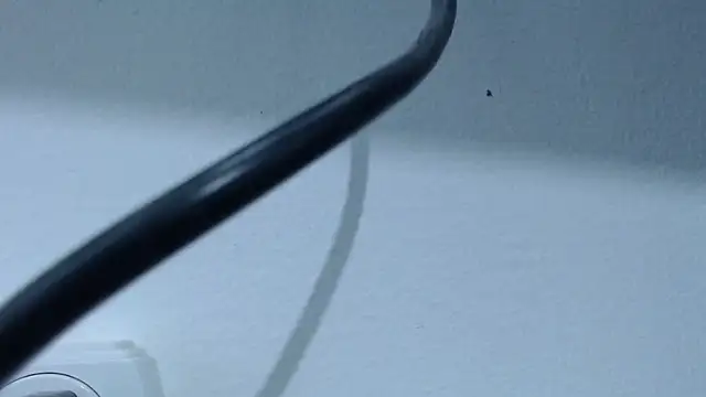 Snapshot of Hanna_Fox_69 chatting on 02/28/25, 07:37 Hanna Fox 69 online show from 02/28/25, 07:37