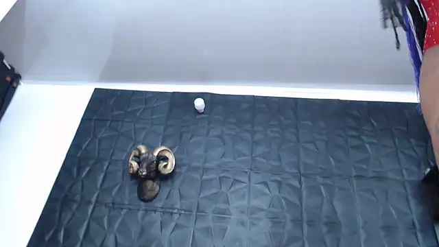 Snapshot of Hanna_Fox_69 chatting on 03/15/25, 09:30 Hanna Fox 69 online show from 03/15/25, 09:30