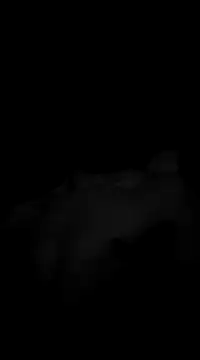 Snapshot of Deniell-01 chatting on 03/19/25, 10:20 Deniell-01 online show from 03/19/25, 10:20