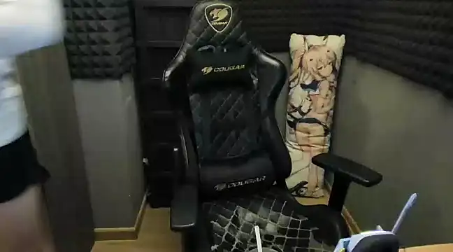 Snapshot of bambelbye chatting on 01/23/25, 01:08 bambelbye online show from 01/23/25, 01:08