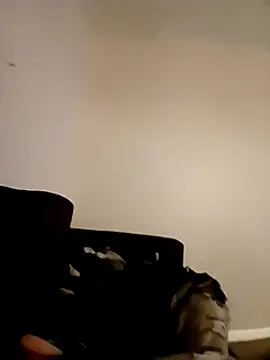 Snapshot of willywonka7793 chatting on 12/16/24, 05:33 willywonka7793 online show from 12/16/24, 05:33