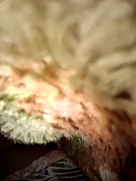 menakshiiikaur online show from 03/05/25, 10:43