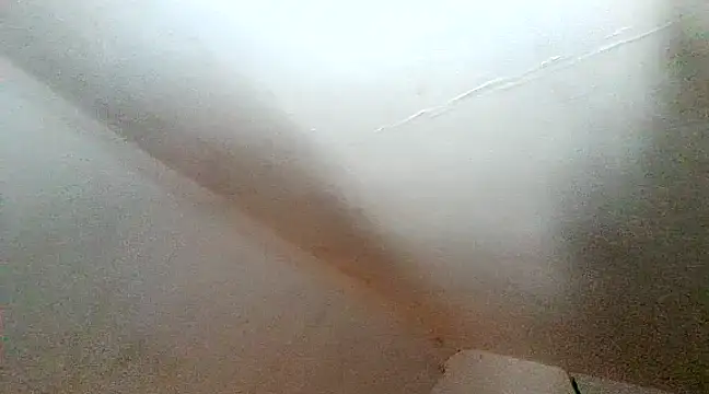 unclestefansdick online show from 12/10/24, 06:28