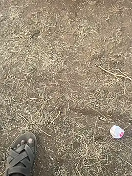 tamil000000 online show from 03/10/25, 12:48