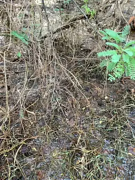 tamil000000 online show from 03/14/25, 01:27