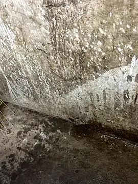 tamil000000 online show from 01/12/26, 01:05