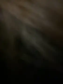 KitteCat online show from 01/04/25, 02:46