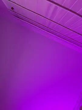 aurora divine online show from 02/15/26, 01:09