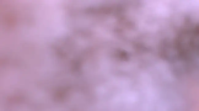 bubble red online show from 02/08/25, 04:47