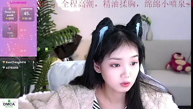 Sheep-1 online show from 12/28/24, 08:37