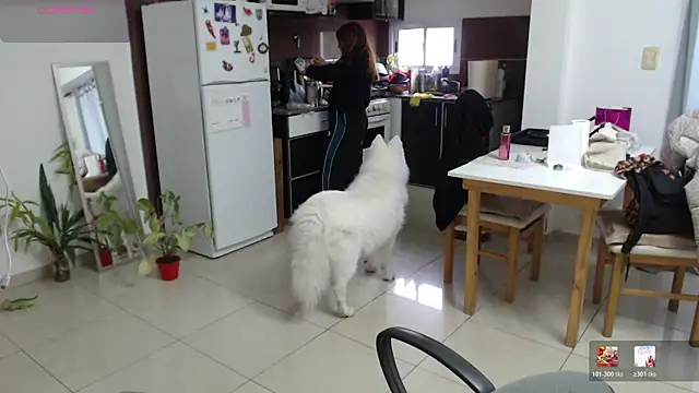 bunnylolaa4 online show from 07/04/26, 07:53