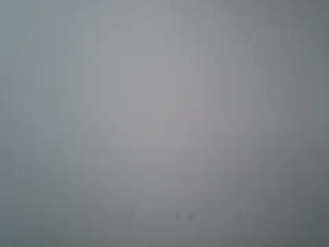 lovedoggy03 online show from 01/12/26, 01:05