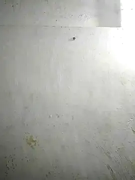 Snapshot of alansteer chatting on 12/18/24, 02:06 alansteer online show from 12/18/24, 02:06