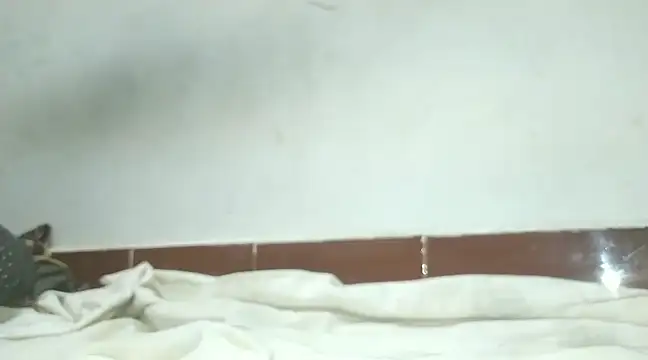 Snapshot of alansteer chatting on 02/07/25, 06:45 alansteer online show from 02/07/25, 06:45