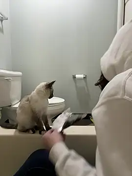 Snapshot of HotMessStilltheBest chatting on 01/21/25, 09:13 HotMessStilltheBest online show from 01/21/25, 09:13